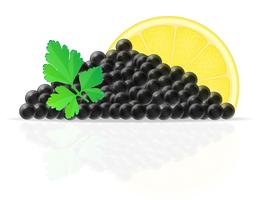 black caviar with lemon and parsley vector illustration