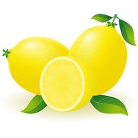 ilustración vectorial de limón vector