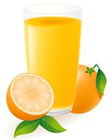 Ilustración de vector de jugo de naranja