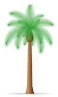 palm tree vector illustration