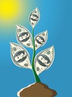 plant from one hundred dollar notes vector