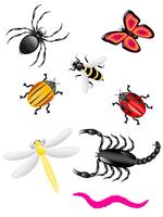colores escarabajos e insectos vector