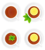 porcelain cup of tea with lemon and mint top view vector illustration
