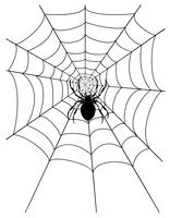Ilustración de vector stock araña web