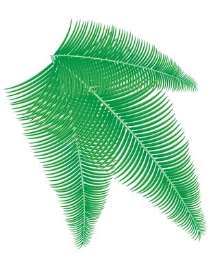 palm branch vector illustration