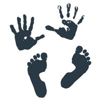 Imprint of children s palms and feet. vector
