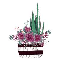 Tarjeta con cactus y conjunto de suculentas. Plantas del desierto. vector