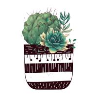 Tarjeta con cactus y conjunto de suculentas. Plantas del desierto. vector