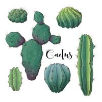 Cactus en el vector y el ejemplo del desierto, estilo dibujado mano, aislado en el fondo blanco.