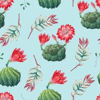 Hand drawn decorative seamless pattern with cacti and succulents vector