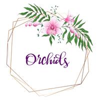 Floral design geometric frame. Orchid, eucalyptus, greenery. Wedding card. vector