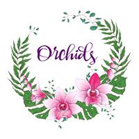 Floral design frame. Orchid, eucalyptus, greenery. Wedding card. vector