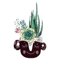 Tarjeta con cactus y conjunto de suculentas. Plantas del desierto. vector