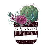 Tarjeta con cactus y conjunto de suculentas. Plantas del desierto. vector