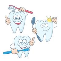 Art on the topic of children's dentistry. Cute cartoon healthy and beautiful teeth. vector