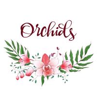 Floral design frame. Orchid, eucalyptus, greenery. Wedding card. vector