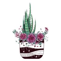 Tarjeta con cactus y conjunto de suculentas. Plantas del desierto. vector