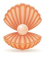 cáscara con ilustración vectorial perla