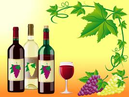 El vino es rojo blanco con una uva y patrón decorativo de hojas. vector