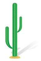 ilustración vectorial de cactus