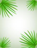 palm branch vector illustration