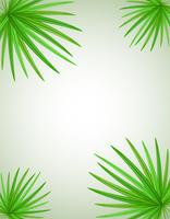 palm branch vector illustration