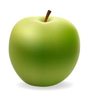ilustración vectorial de manzana verde vector