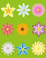 icon set of flowers for design vector