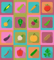 vegetables flat icons with the shadow vector illustration