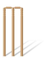 criket wickets vector illustration