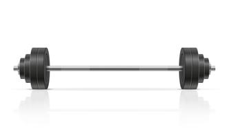 metal barbell for muscle building in gym vector illustration