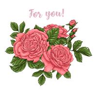 Set of coral roses Hand drawing vector