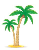 Ilustración de vector de árbol tropical de Palma