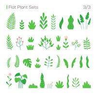 Conjunto de vectores de diferentes hojas y plantas en un estilo plano. Plantas aisladas en el conjunto blanco del fondo.