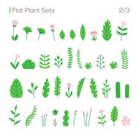 vector set of different leaves and plants in a flat style. plants isolated on white background set.