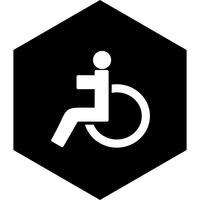  Handicapped Icon Design vector