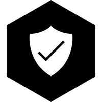 Shield Icon Design vector