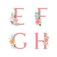 Pink Alphabet florals set collection, peach and orange peony flowers bouquets vintage, Design for wedding invitation, celebrate marriage, Thanks card decoration vector illustration.