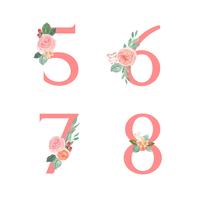 Pink Alphabet florals set collection, peach and orange peony flowers bouquets vintage, Design for wedding invitation, celebrate marriage, Thanks card decoration vector illustration.
