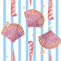 Mar shell patrón de vida marina transparente, viajes de vacaciones de verano en la playa, acuarela aquarelle aislado, ilustración vectorial Color Coral. vector