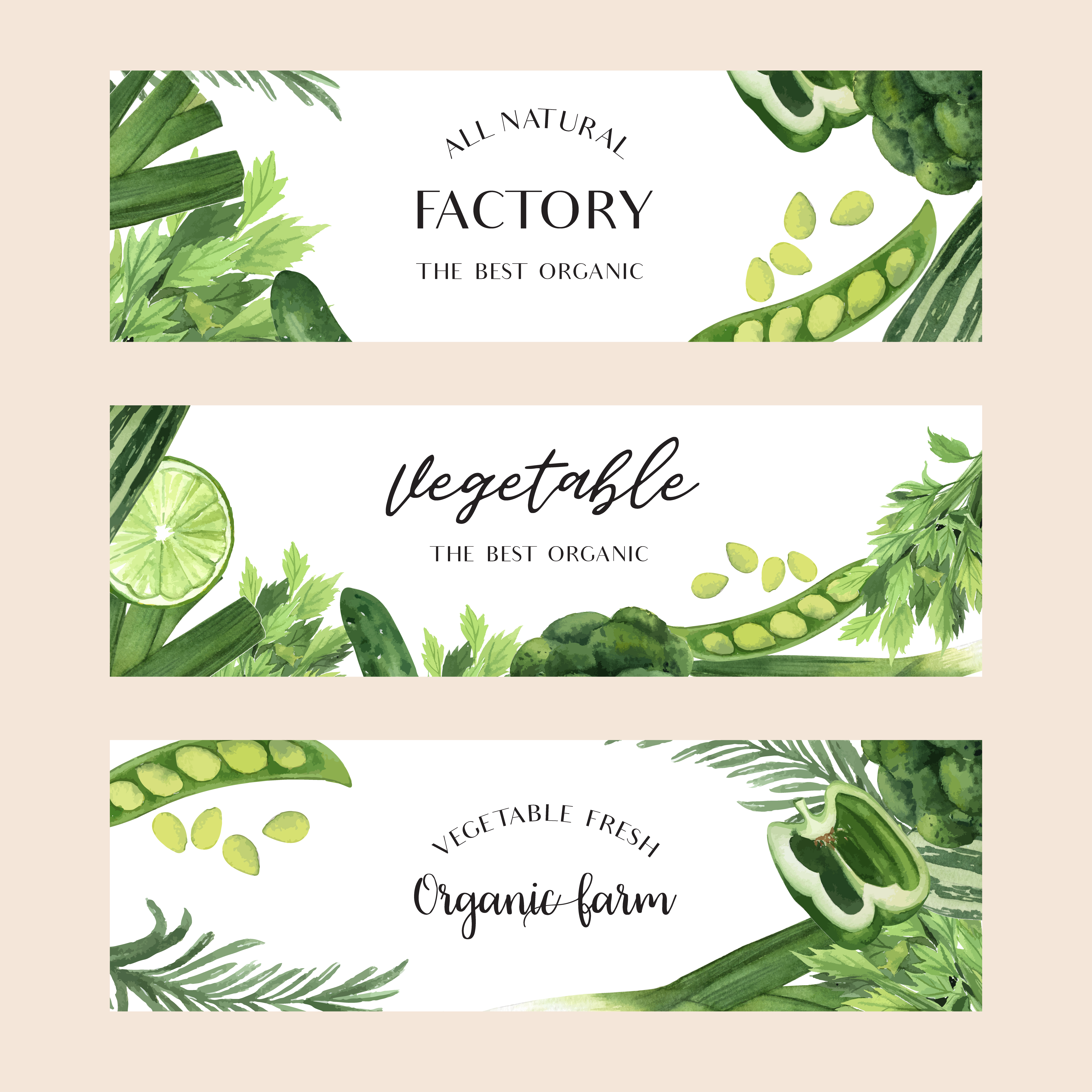 Green SUPPORT ORGANIC FARMERS License Plate Frame