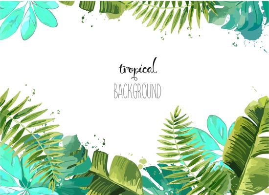 Tropical Border Vector Art, Icons, and Graphics for Free Download