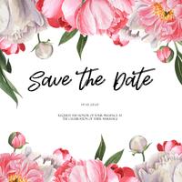 Pink Peony blooming flower botanical watercolor wedding cards invitation floral aquarelle . Design decor invitation card, save the date, marriage illustration vector.
