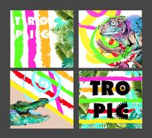 Conjunto de coloridas tarjetas con animales exóticos y hojas tropicales. vector