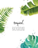 Background with Tropical Leaves. vector