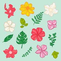 flower seamless pattern, floral pattern vector