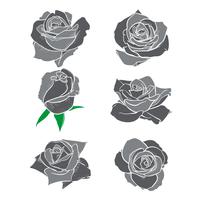 Flores rosas, capullos y hojas verdes. Set de rosas de la colección. icono de rosa y símbolo vector
