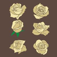 Flores rosas, capullos y hojas verdes. Set de rosas de la colección. icono de rosa y símbolo vector