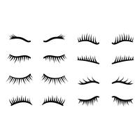 eyelashes clipart set vector