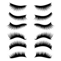 eyelashes clipart set vector